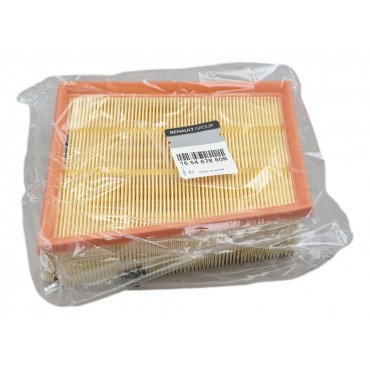 Filtre à air Pour Renault Grand Scénic IV Megane Talisman 165467860R
