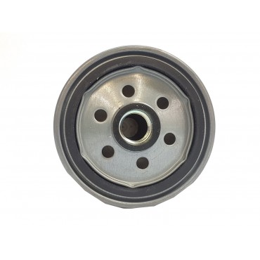 Filtre à Carburant Pour Renault Mascott Master Pro Renault Trucks