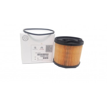 Filtre à Carburant Pour Peugeot 206 306 307 406 607 806 Expert Partner Citroën