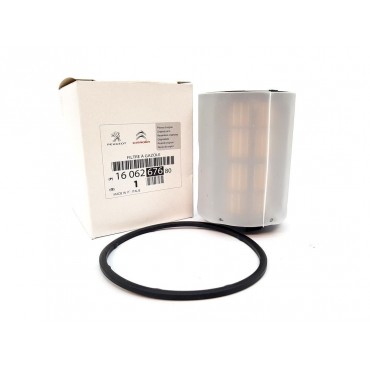 Filtre à Carburant Pour Peugeot Fiat 500 Croma Chevrolet Citroën 96816473