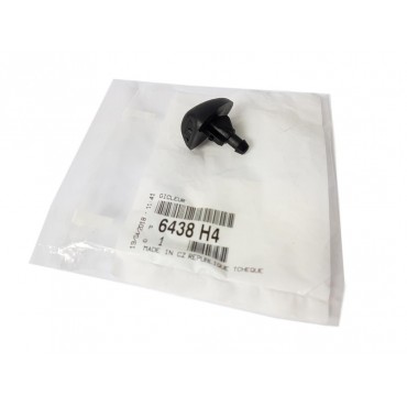Gicleur de Pare Brise Pour Peugeot Expert Citroën C3 Jumpy Saxo Xsara