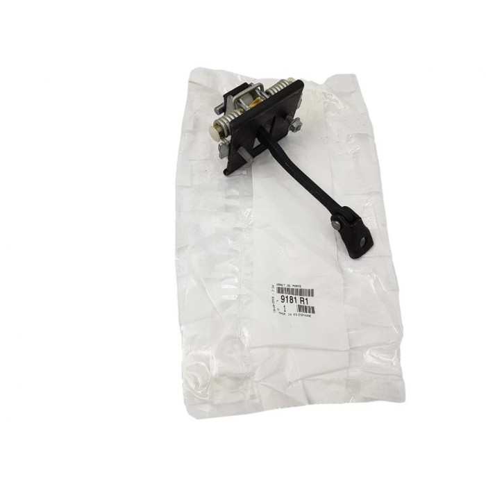 Charnière de Porte Avant Pour Citroën C4 9181R1