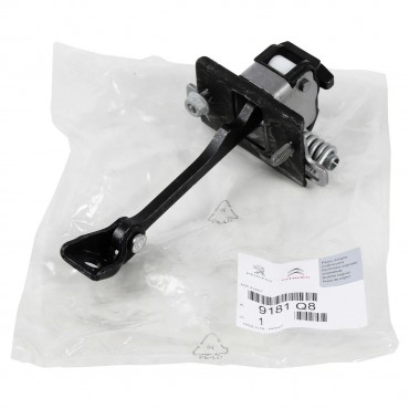 Charnière de Porte Avant Pour Citroën DS3 DS DS3 Décapotable