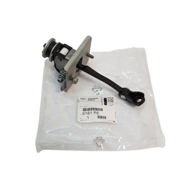 Charnière de Porte Avant Pour Peugeot 308