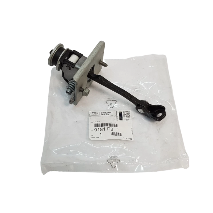 Charnière de Porte Avant Pour Peugeot 308