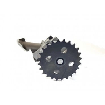 Pompe à Huile Pour Renault Megane CC Scenic Van Rapid Trafic VEL Satis Opel