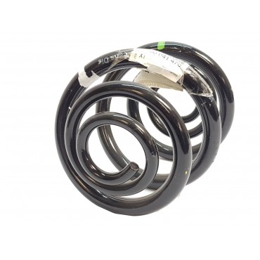 Ressort de Suspension Arrière Pour Renault Kangoo 8200041470