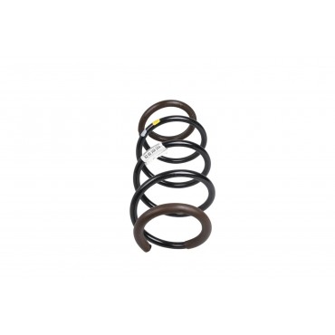 Ressort d'Amortisseur Avant Pour Renault Scénic II