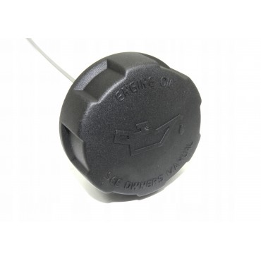 Jauge à Huile Pour Renault Clio II Espace III IV Kangoo Laguna Master Megane I