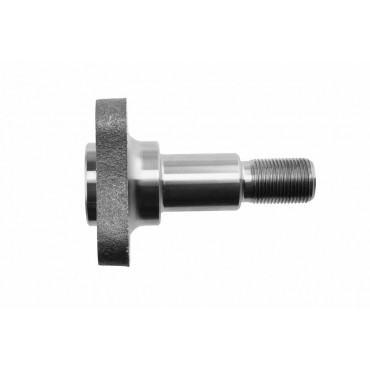 Fusée d'Essieu Arrière Pour Renault Clio II Dacia Nissan 43042AX600 6001548299