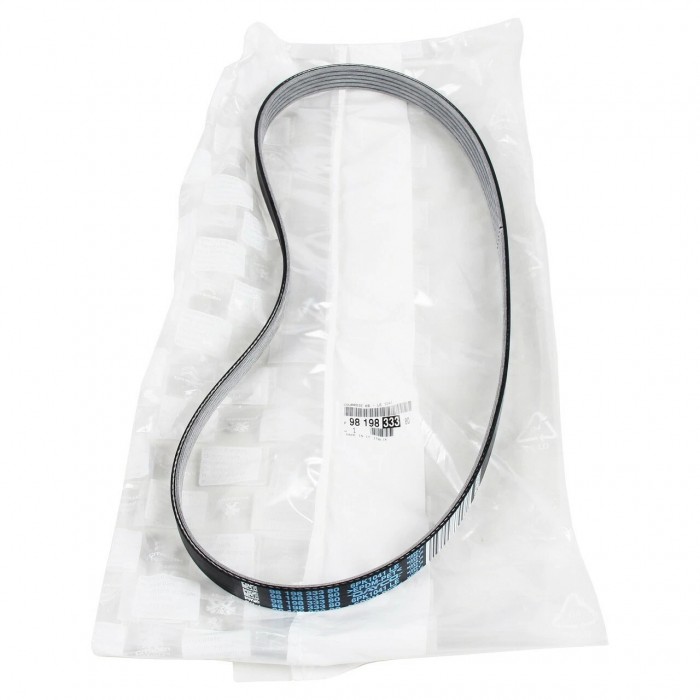 Courroie d'Alternateur Pour Peugeot VW Caddy II Golf III IV Passat Seat Opel