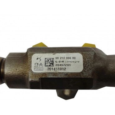 Rampe D'injection de Moteur Pour Peugeot 208 301 Opel Fiat Citroën 9821399680
