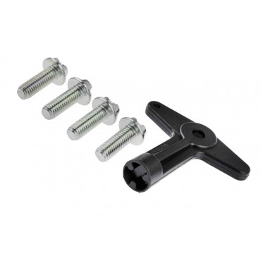 4 Boulons + Clé Antivol Pour Renault Clio II III Laguna Megane I Modus Scénic