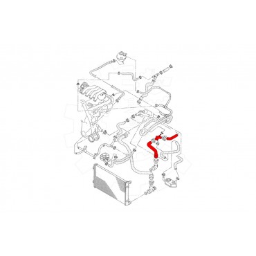 Tuyau de Refroidissement Pour VW Bora Golf IV Audi A3 Skoda Octavia I 1J0122101R