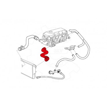 Tuyau de Refroidissement Pour BMW Série 3 E46 11531436407 1436407