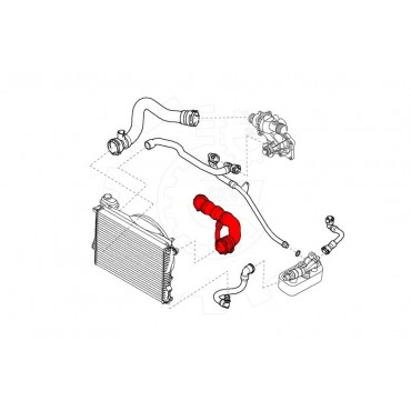 Tuyau de Refroidissement Pour BMW Série 5 E39 7 E38 11531711321 11537505228