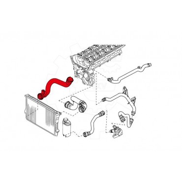 Tuyau de Refroidissement Pour BMW X5 E53 11537500734 11537508688 7500734 7508688