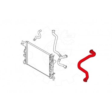 Tuyau de Refroidissement Pour Ford C-Max Focus II 1321512 1384143 1520851