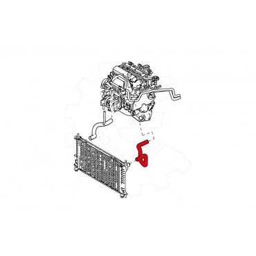 Tuyau de Refroidissement Pour Ford Focus Turnier 98AB8B274AJ