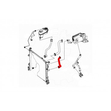 Tuyau de Refroidissement Pour Mercedes-Benz Classe A B 2465010182 A2465010182