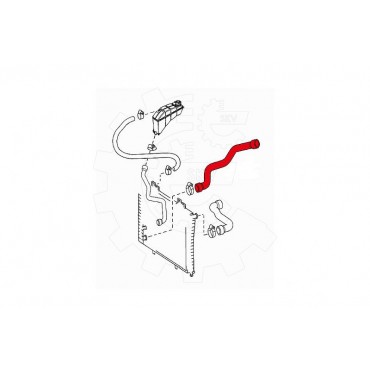Tuyau de Refroidissement Pour Mercedes-Benz Classe E T-Model 2105013282