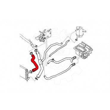 Tuyau de Refroidissement Pour Renault Clio II Kangoo Thalia I 7700435711