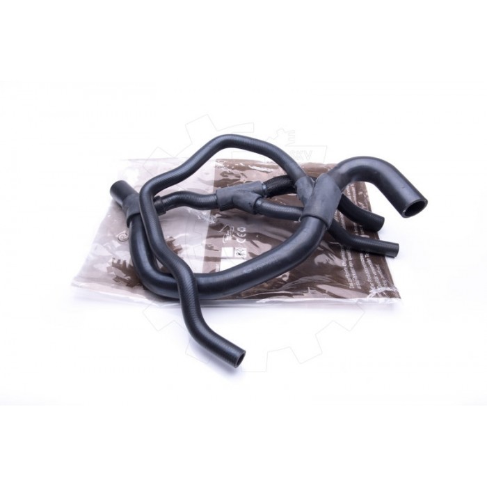 Tuyau de Refroidissement Pour Renault Clio II Kangoo 7700414122 7700834895