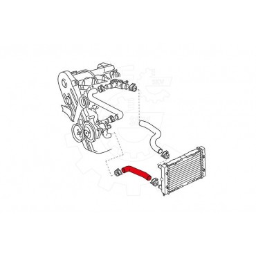 Tuyau de Refroidissement Pour VW Golf II Jetta Passat Seat Toledo I