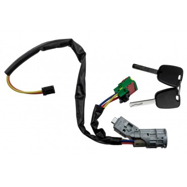 Contacteur d'Allumage Neiman Pour Citroën C2 C3 4162AH