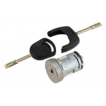 Barillet Contacteur d'Allumage Pour Ford Fiesta V Focus Turnier Fusion 717444389