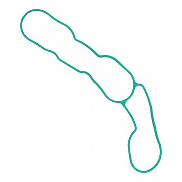 Joint d'étanchéité Collecteur d'Admission Pour Opel Fiat Citroën Berlingo DS