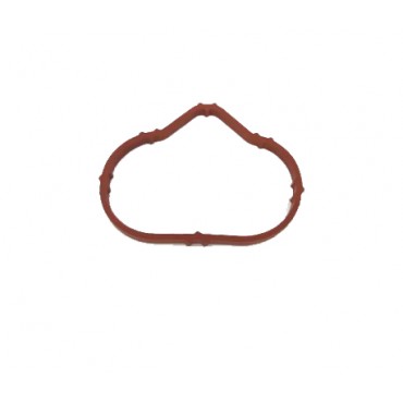 Joint d'étanchéité Collecteur d'Admission Pour Peugeot 307 308 407 807 Expert