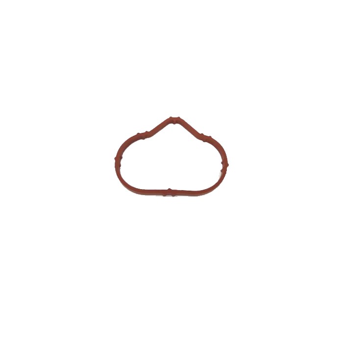 Joint d'étanchéité Collecteur d'Admission Pour Peugeot 307 308 407 807 Expert