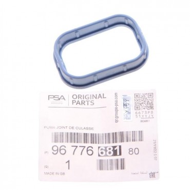 Joint d'étanchéité Collecteur d'Admission Pour Fiat Ford Citroën Jaguar