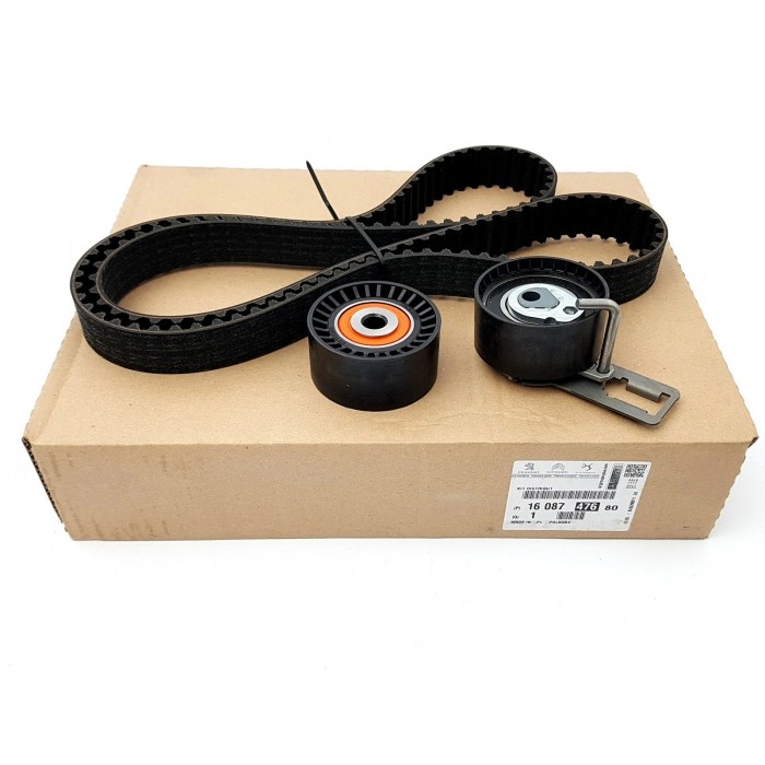 Kit Distribution Pour Peugeot Opel Ford B-Max Citroën 1703348, 1754317