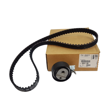 Kit Distribution Pour Peugeot 106 206 207 306 307 1007 Fiat Citroën Hyundai