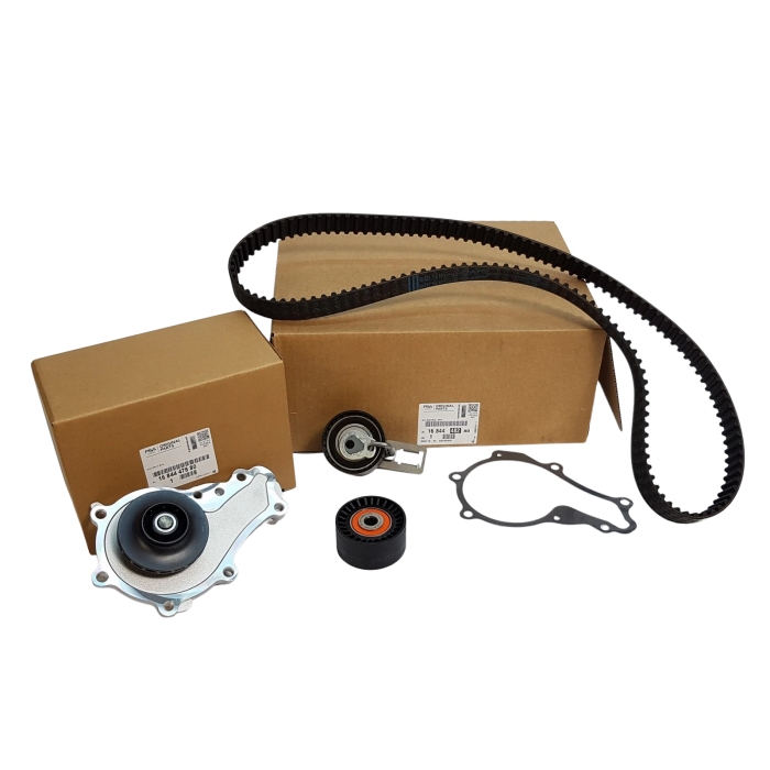 Kit Distribution + Pompe à Eau Pour Opel Fiat Ford Citroën 71775923 1613561980