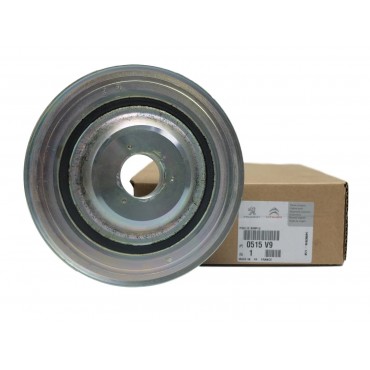Poulie Damper Pour Peugeot Fiat Ford C-Max II Focus Citroën 1520590, 1520590S1
