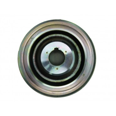 Poulie Damper Pour Peugeot Fiat Ford C-Max II Focus Citroën 1520590, 1520590S1