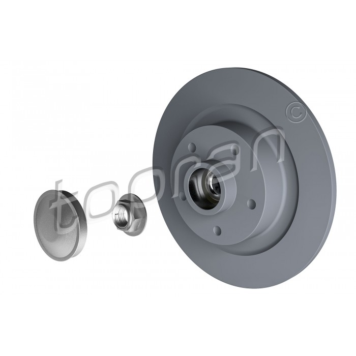 2 Disques de Frein Arrière Pour Renault Grand Scénic IV Megane 432021878R