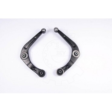 Kit Bras de Suspension Pour Peugeot 206 3520L7 3520W0 3521H9 3521S1