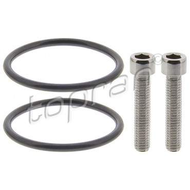 Joints de Pompe Haldex Pour VW Audi Seat Skoda Octavia II Superb Yeti 0AY598305