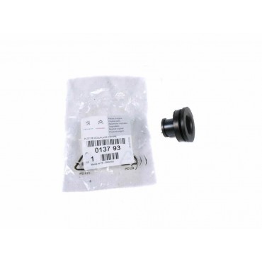 Silent Bloc de Cache Moteur Pour Peugeot 307 308 407 508 607 Citroën C4 C5