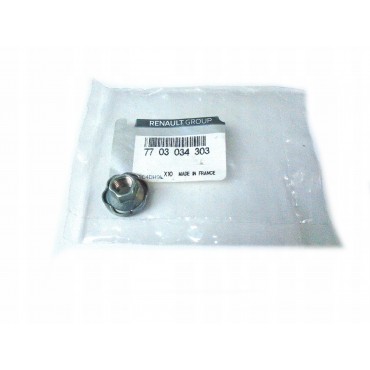 écrou Collecteur d'échappement Pour Renault Avantime Laguna Rapid 7703034303
