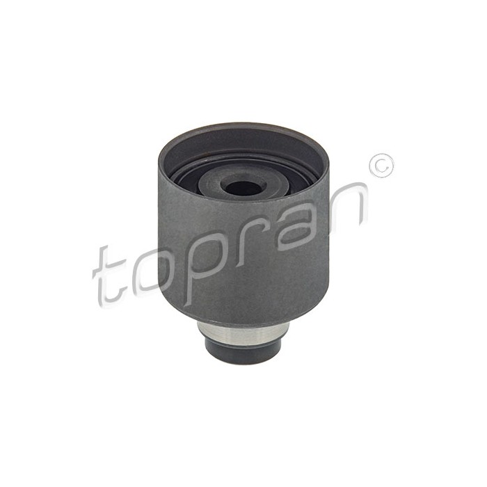 Poulie Galet Tendeur Courroie de Distribution Pour VW Audi Seat Ford 038109244J