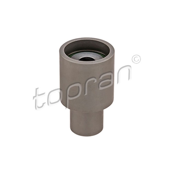 Poulie Galet Tendeur Courroie de Distribution Pour VW Audi Seat Skoda 038109244E