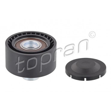 Galet enrouleur de Courroie d'Accessoire Pour Peugeot Ford C-Max Toyota Citroën