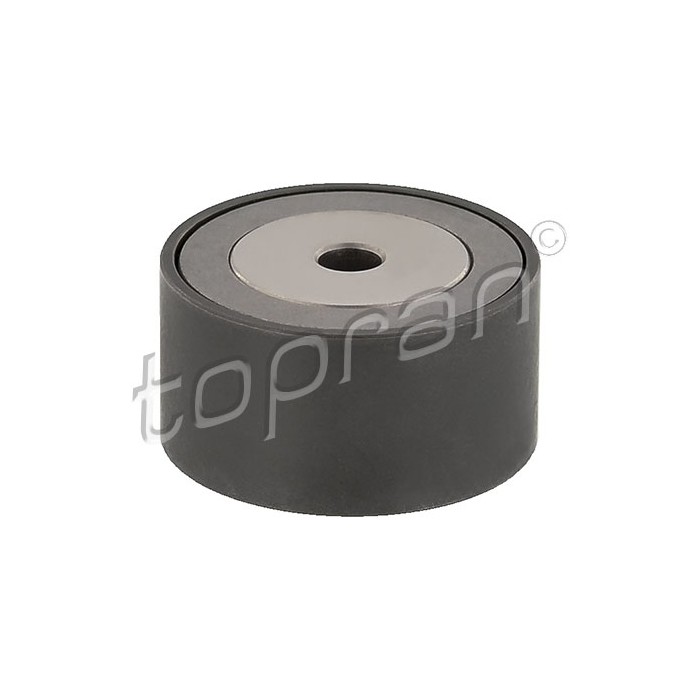 Galet enrouleur de Courroie d'Accessoire Pour Renault Clio II 7700867985