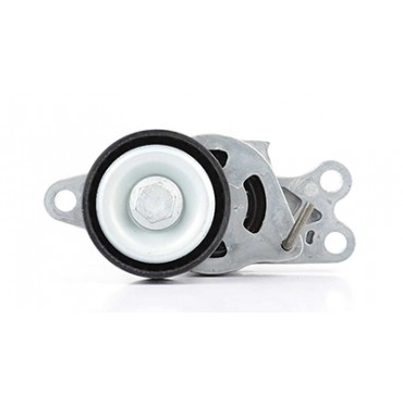 Galet Tendeur Courroie d'Accessoire Pour Peugeot Fiat Citroën 1611424580 575197