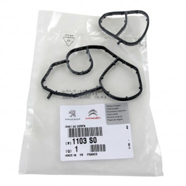 Kit Joint d'étanchéité Radiateur d'Huile Pour Peugeot Fiat Ford B-Max Suzuki